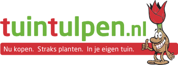 TuinTulpen.nl